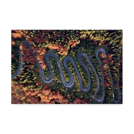 Trademark Fine Art E.Amer 'The Beautiful Road' Canvas Art, 22x32 1X09995-C2232GG